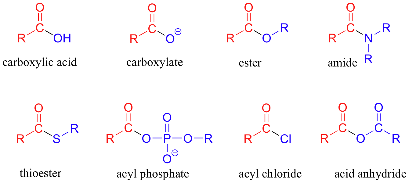 Cyclic dimers of carboxylic acids, 22.1. Introduction | Organic Chemistry II