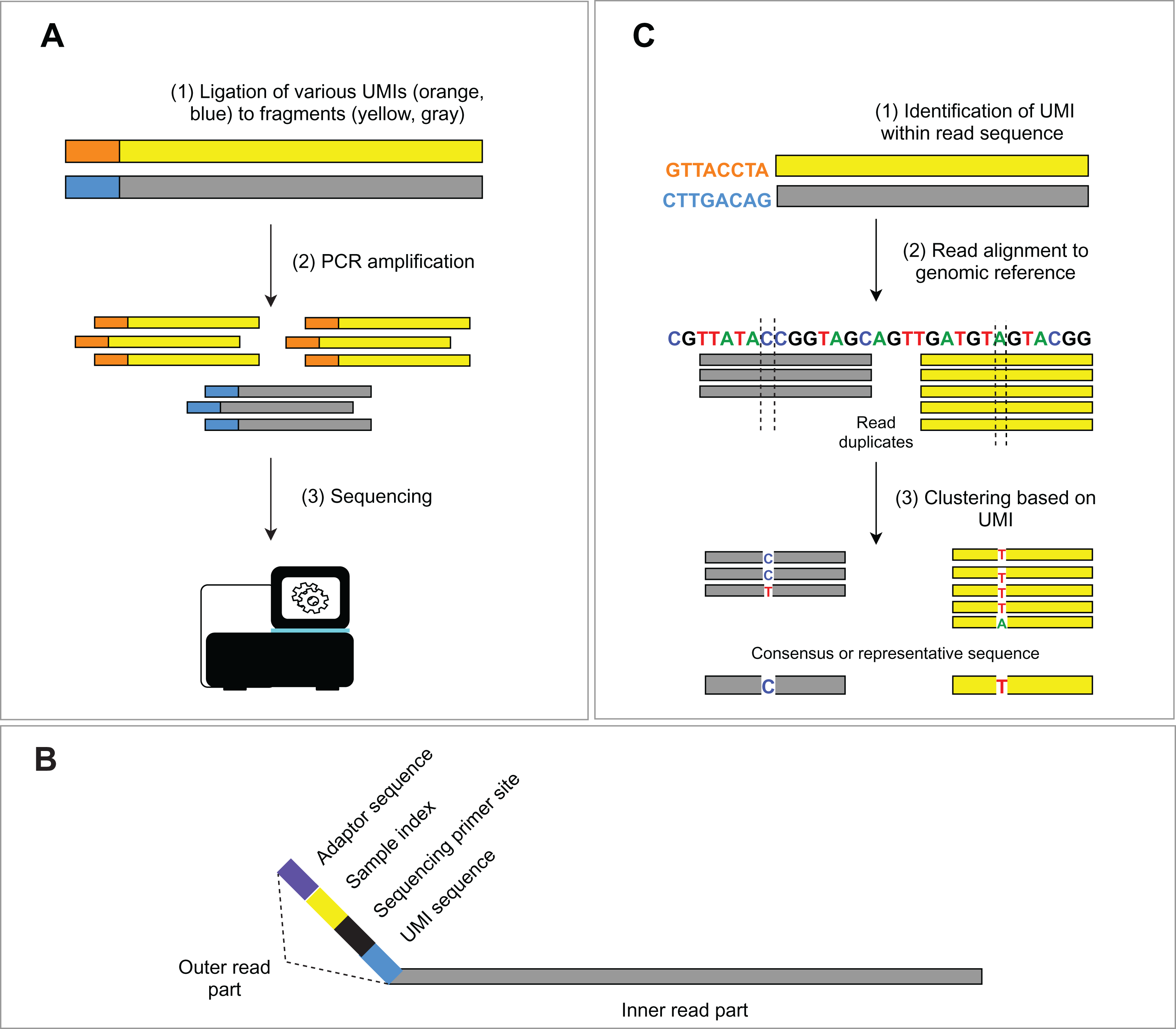 Definition and role of bioinformatics, Bioinformatic strategies for the analysis of genomic aberrations detected by targeted NGS panels ...