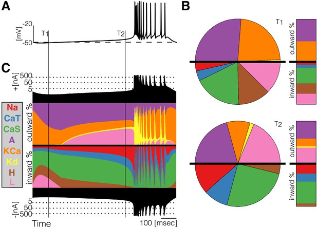 Definition and Role of Currents, Visualization of currents in neural models with similar behavior and different conductance ...