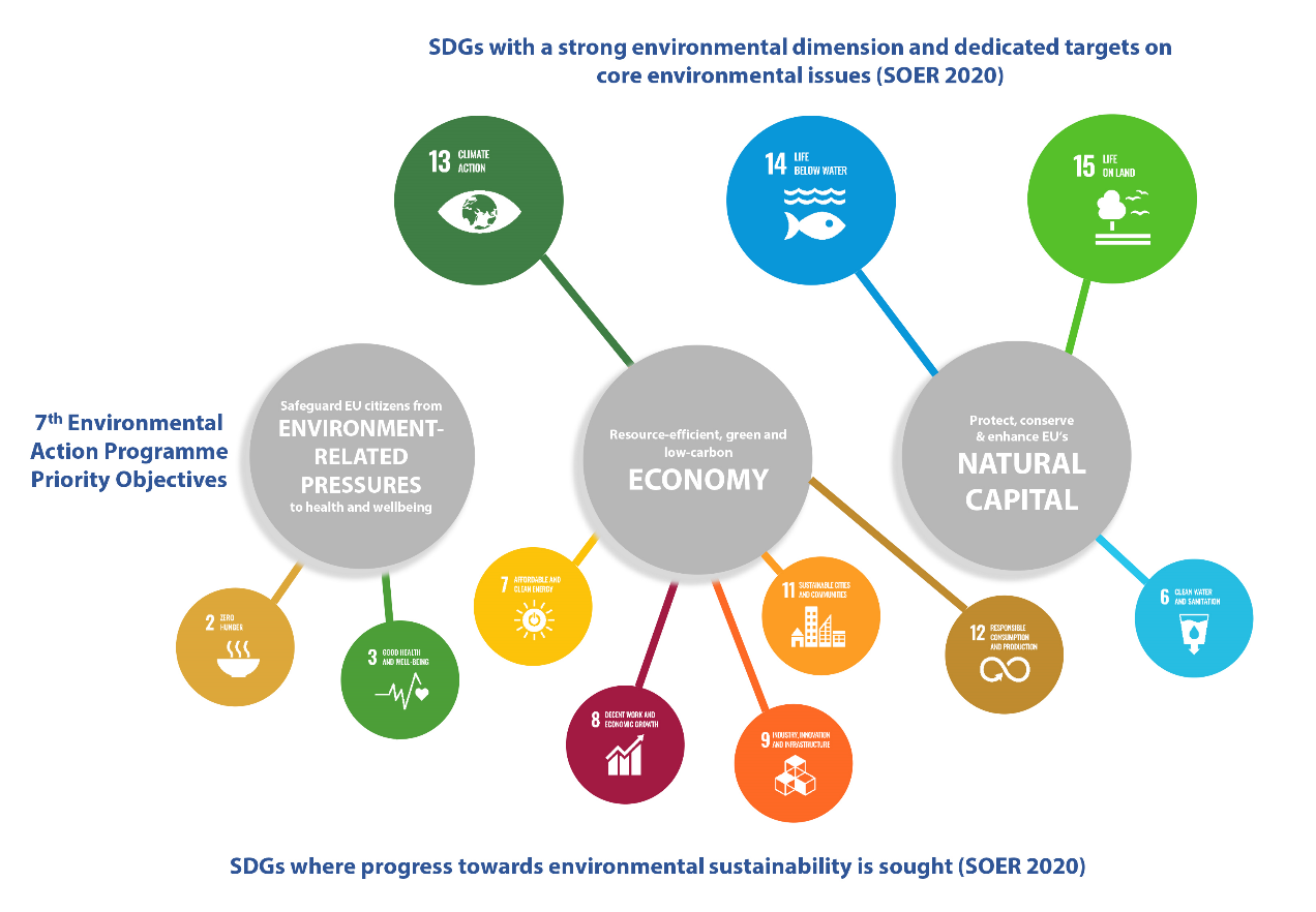 Development of environmental movements, Figure 2: SDGs with an environmental dimension
