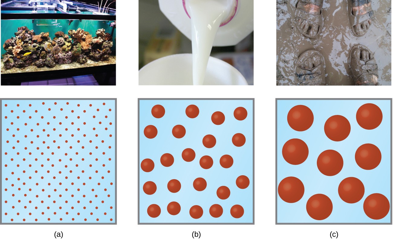 Dispersed phase vs dispersion medium, Colloids | Chemistry