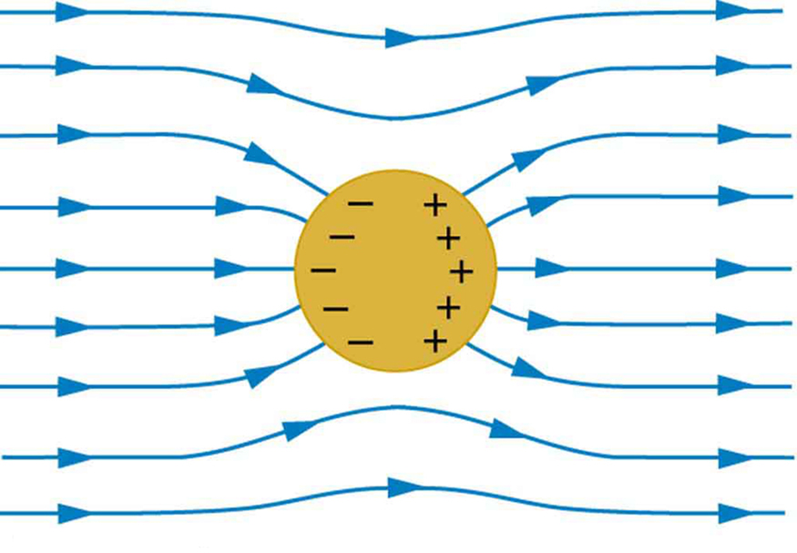 Electric fields in conductors, Conductors and Electric Fields in Static Equilibrium | Physics