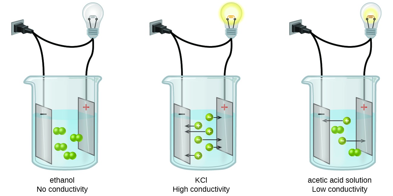 Concept and examples of electrolytes, Electrolytes | Chemistry: Atoms First