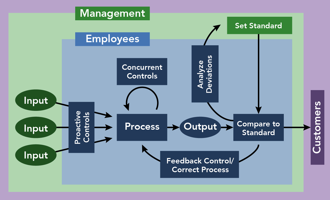 Elements of internal control systems, The Control Process | Principles of Management