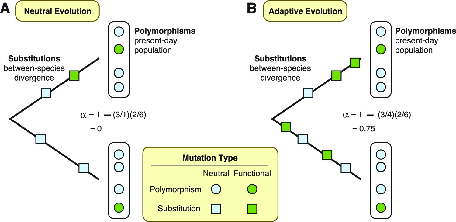 Evolution of adaptive control theory, Adaptive Evolution: At the mercy of viruses | eLife
