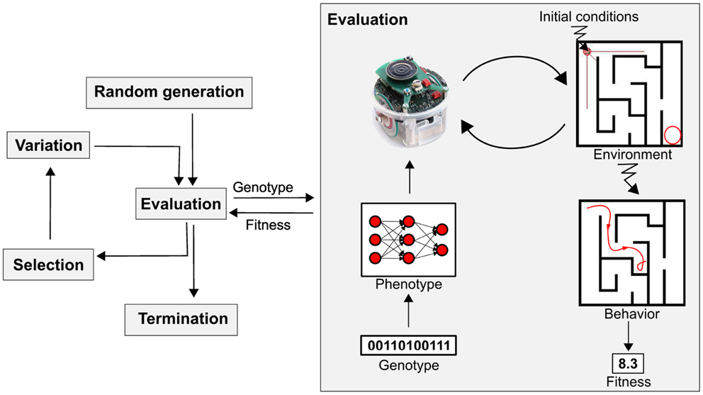 Core Components and Their Functions, Frontiers | Evolutionary Robotics: What, Why, and Where to