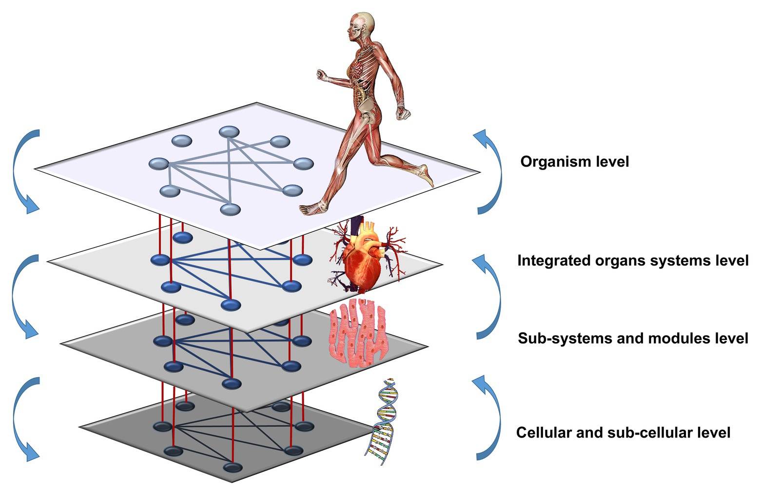 Field-Based vs Laboratory-Based Techniques, Frontiers | Network Physiology of Exercise: Vision and Perspectives