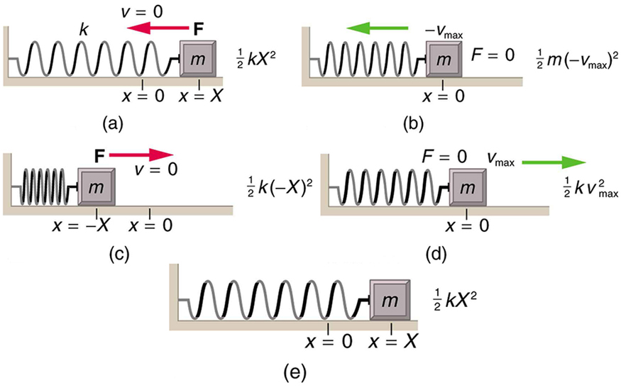 Force and Displacement Methods, Energy and the Simple Harmonic Oscillator | Physics