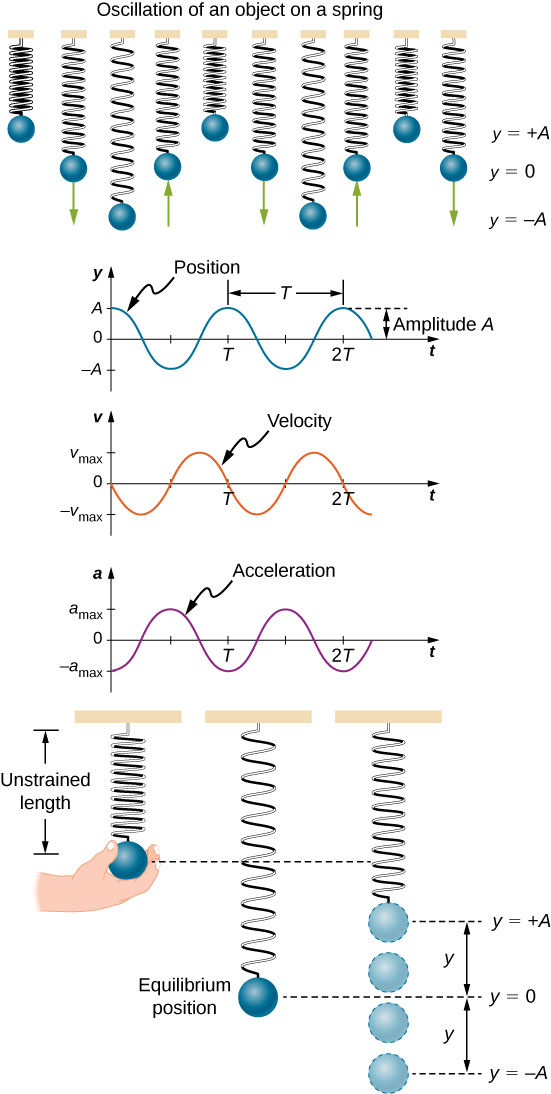 Forcing Functions and Harmonic Forcing, Simple Harmonic Motion – University Physics Volume 1