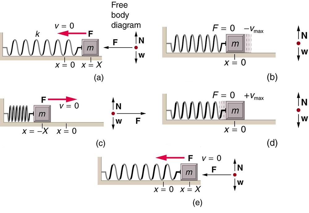 Forcing Functions and Harmonic Forcing, Simple Harmonic Motion: A Special Periodic Motion | Physics