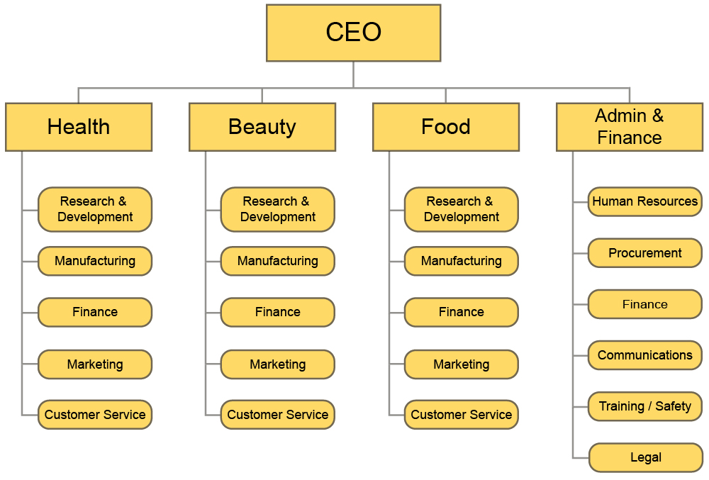 Functional vs divisional structures, Common Organizational Structures | Principles of Management