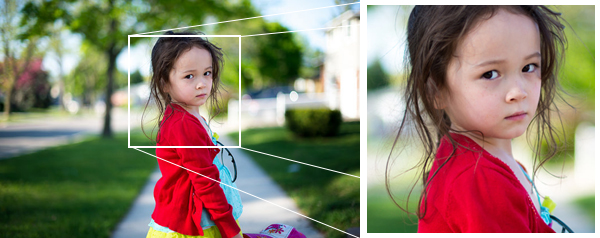 Fundamental Framing Concepts, 15 Easy Tips for Cropping Photos Like a Pro