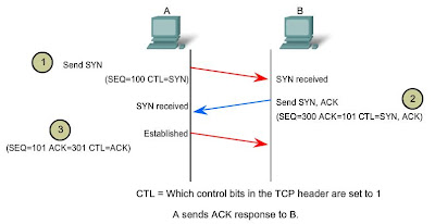 Fundamental Socket Components, IT Cebu Administrator: OSI Transport Layer