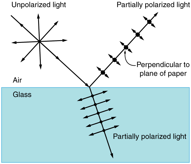 Fundamentals of Polarization, 12.8 Polarization – Douglas College Physics 1207