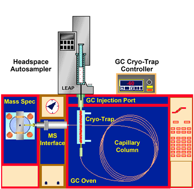 Basic Principles and Components, Pharmaceutical Applications of Gas Chromatography