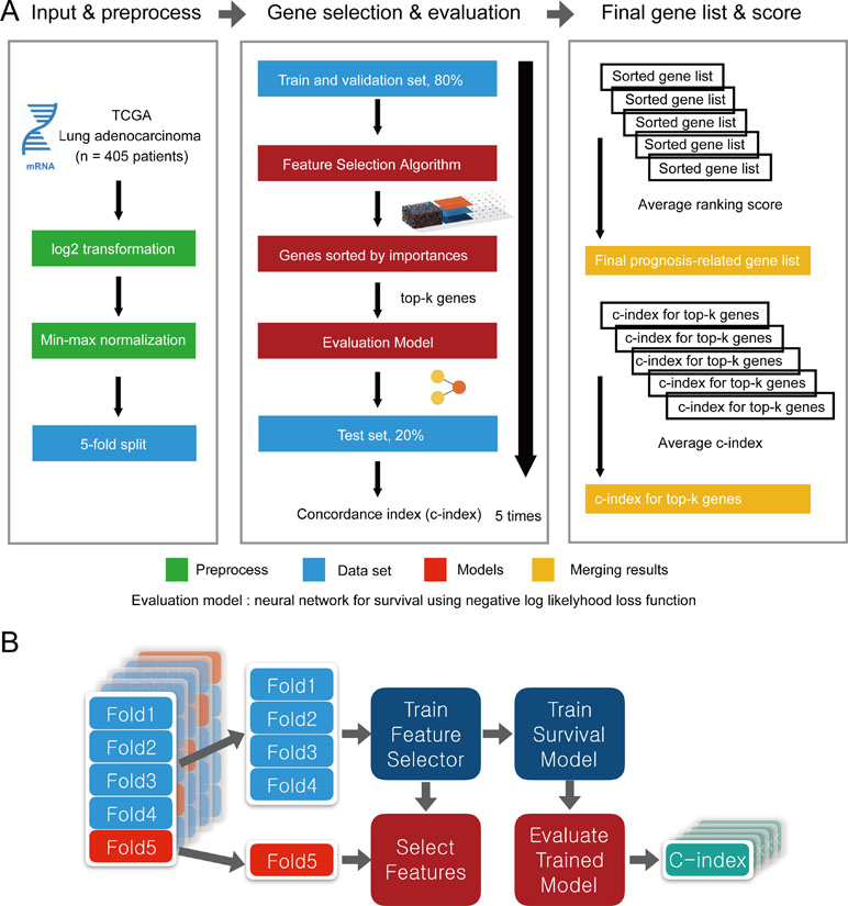 Goals of feature selection, Frontiers | Cascaded Wx: A Novel Prognosis-Related Feature Selection Framework in Human Lung ...