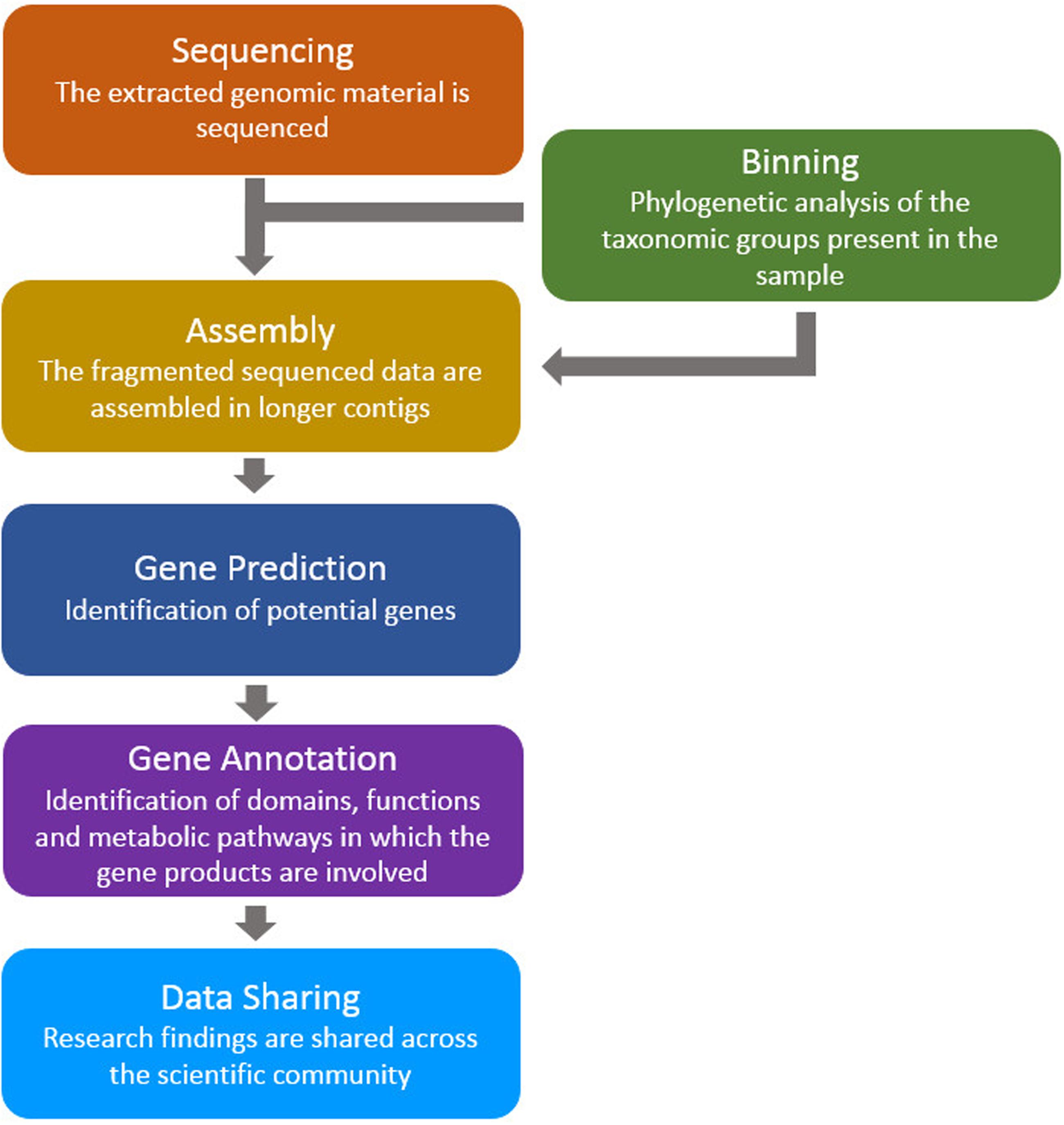 Introduction to Bioinformatics, Frontiers | A Review of Bioinformatics Tools for Bio-Prospecting from Metagenomic Sequence Data ...