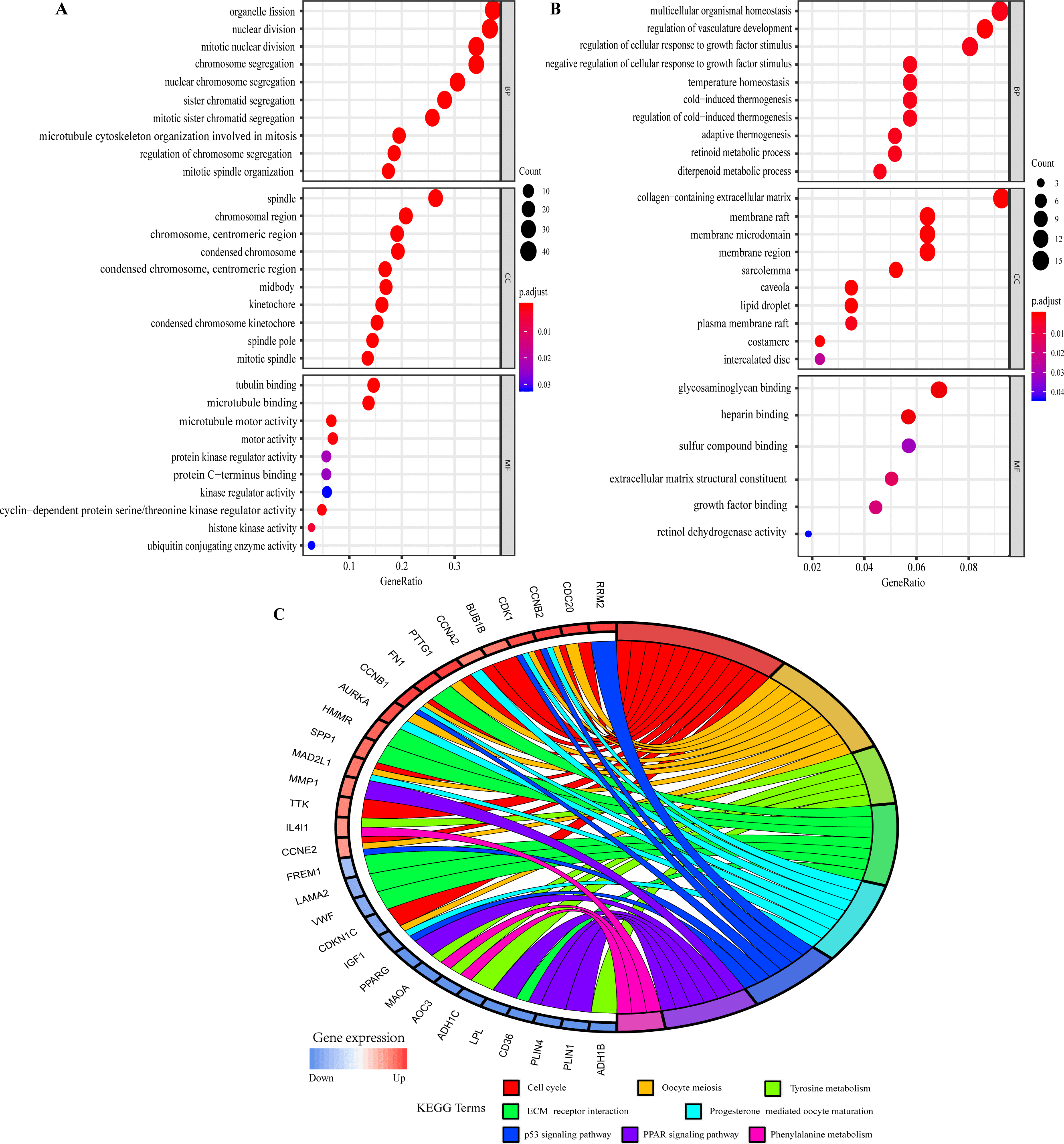 KEGG database, Identification of hub genes and small molecule therapeutic drugs related to breast cancer with ...