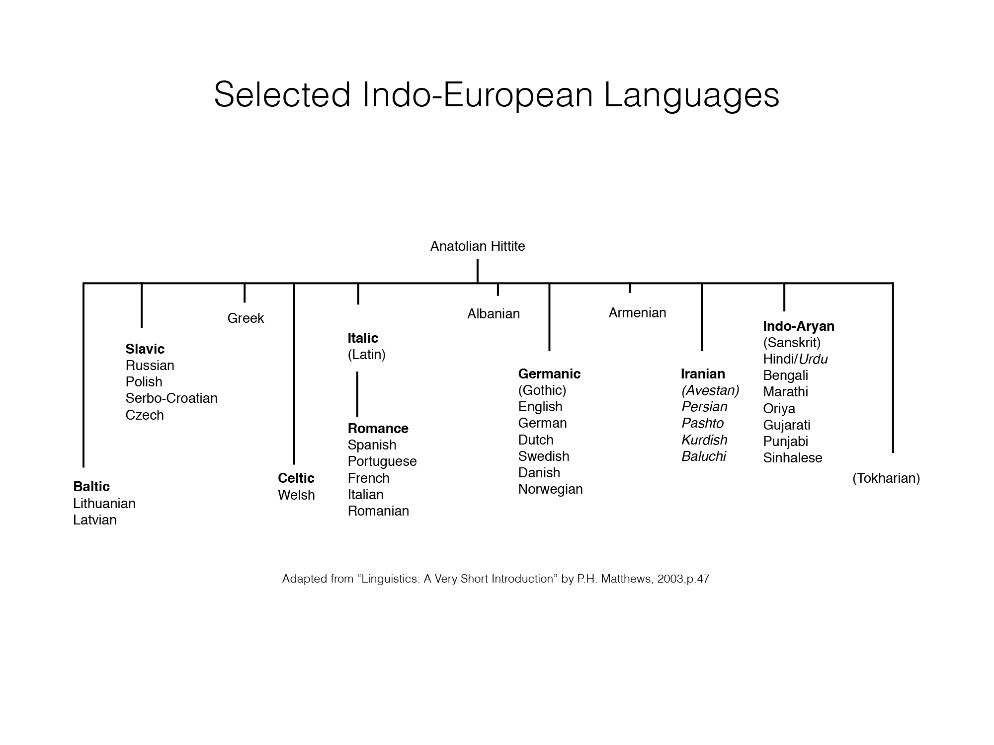 Language as a Marker of Group Membership, Linguistic Groups – Keys to Understanding the Middle East