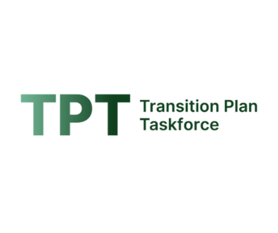 Legal requirements for transition, Transition Plan Taskforce | Setting a robust standard