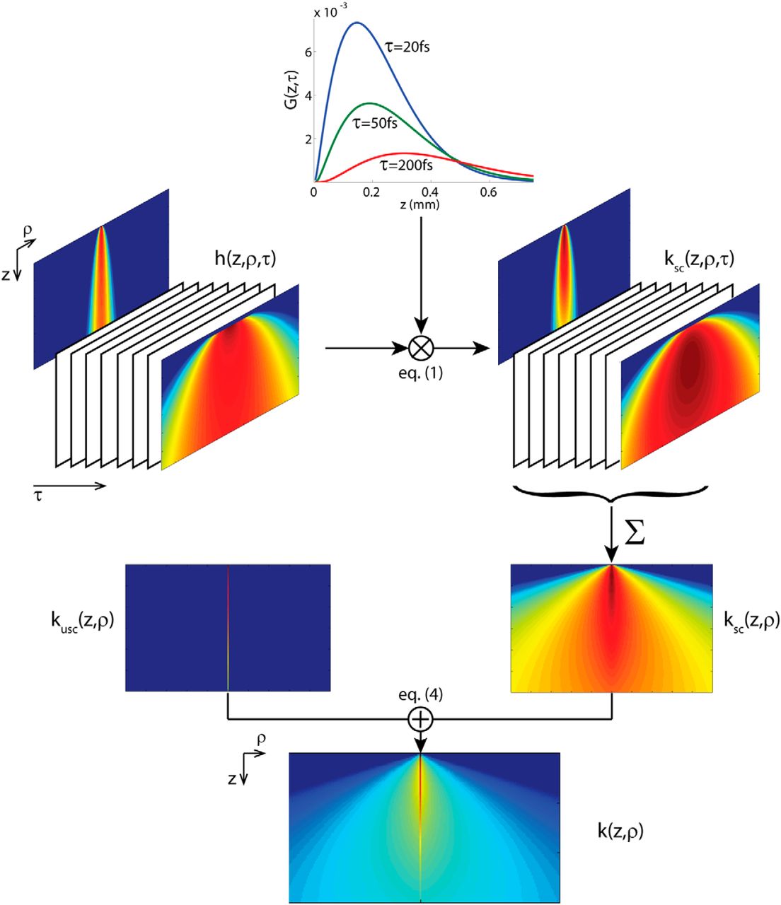 Light-Matter Interactions in Biological Systems, Realistic Numerical and Analytical Modeling of Light Scattering in Brain Tissue for Optogenetic ...