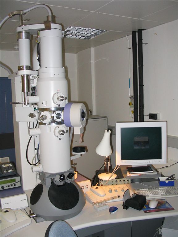 Microscopes, Electron microscope - Wikipedia