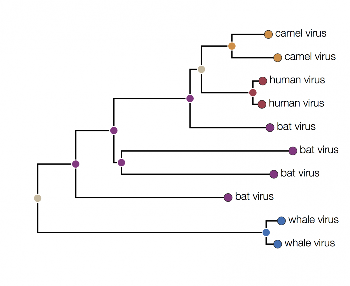 Integrating Molecular Biology with Epidemiology, Artic Network