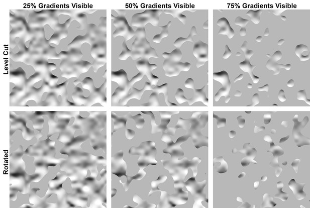 Motion vs defocus blur, Figures and data in The perception and misperception of optical defocus, shading, and shape | eLife