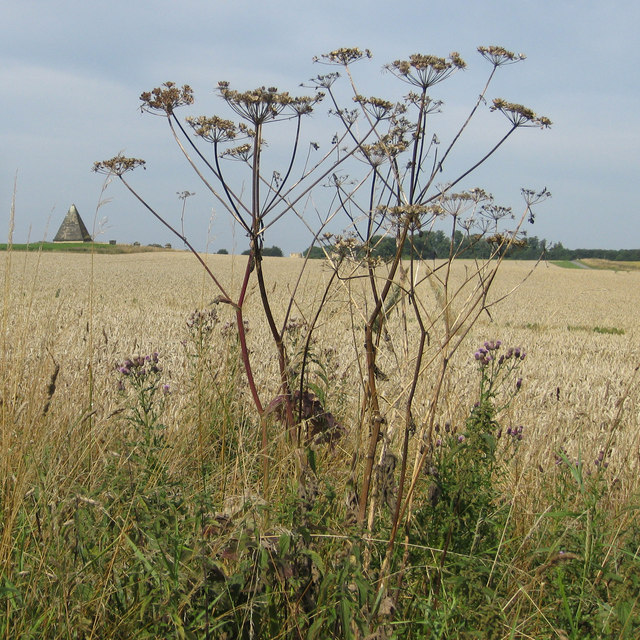 Frames for subject emphasis, Structures, man-made and natural © Pauline E :: Geograph Britain and Ireland