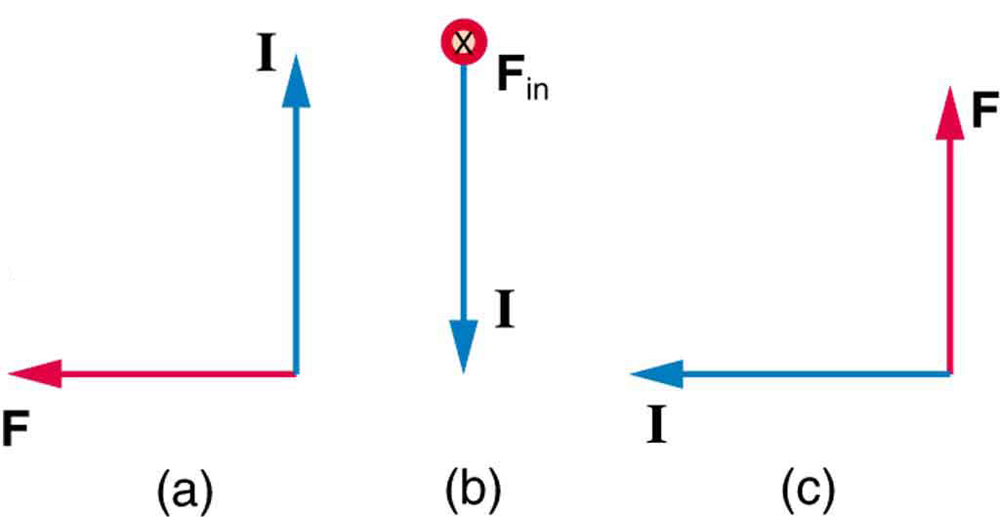 Net force on current loops, Magnetic Force on a Current-Carrying Conductor | Physics