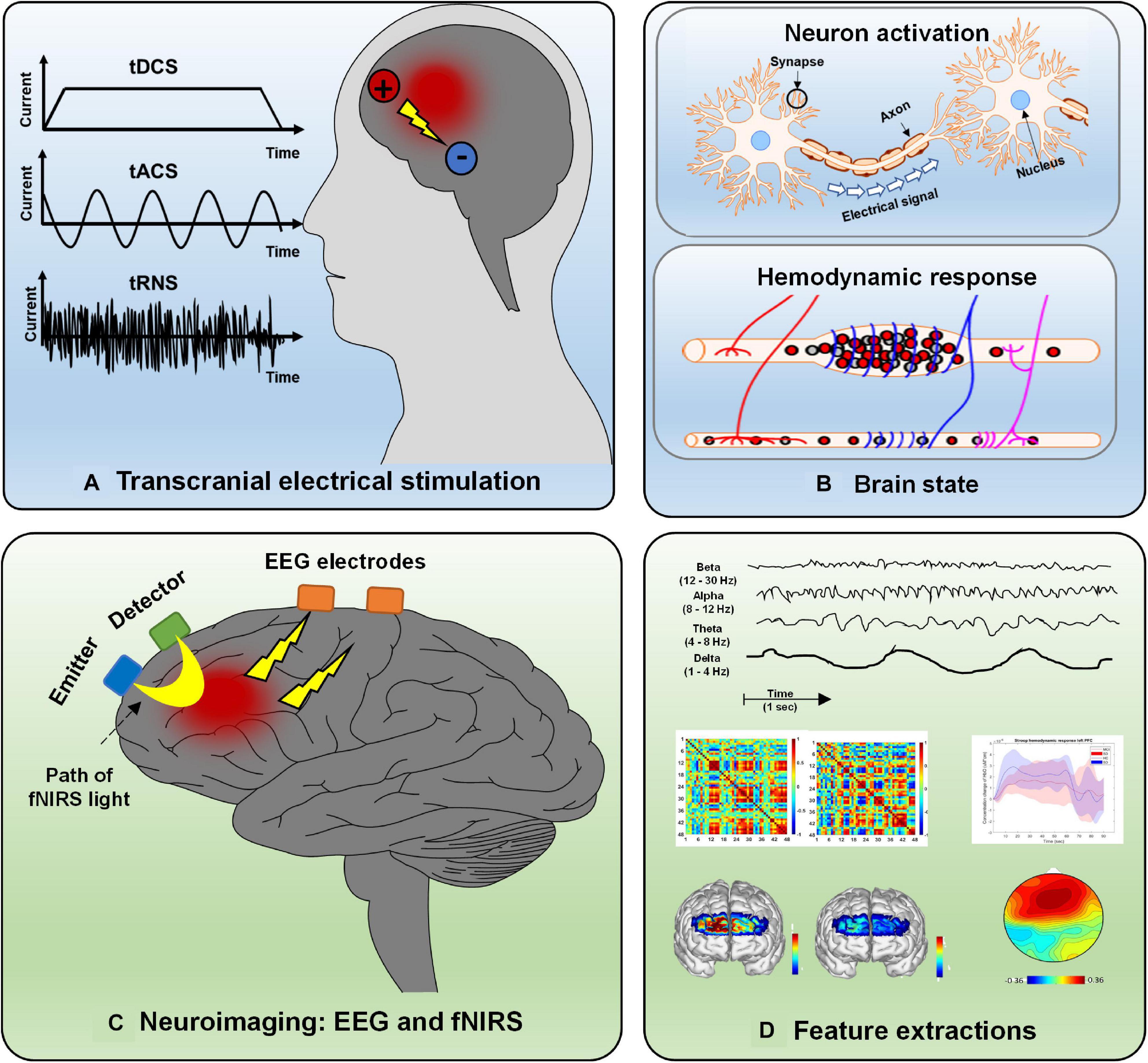 Principles of Neural Signals, Frontiers | Systemic Review on Transcranial Electrical Stimulation Parameters and EEG/fNIRS ...