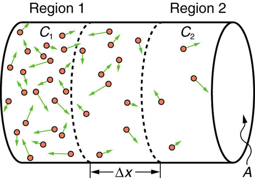 Concept and Characteristics, Molecular Transport Phenomena: Diffusion, Osmosis, and Related Processes | Physics