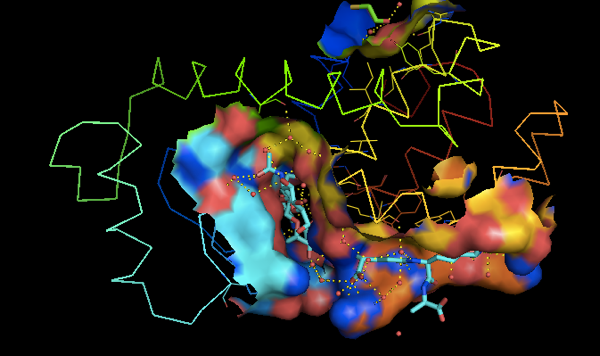 Open-Source Molecular Visualization Tools, Molecular Biology Workshop: PyMOL