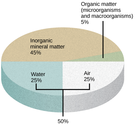 Parent Material and Organic Matter, The Soil | OpenStax Biology 2e