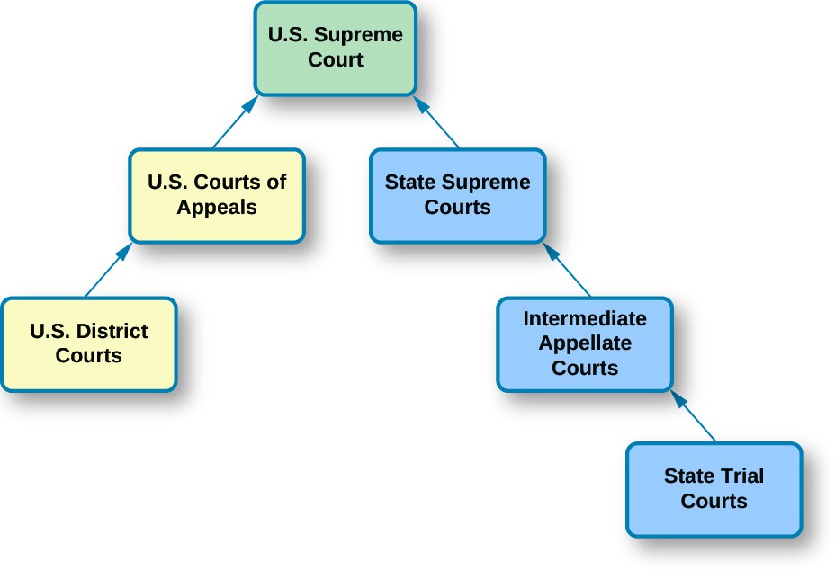 Definition and prevalence, The Dual Court System – American Government (2e)