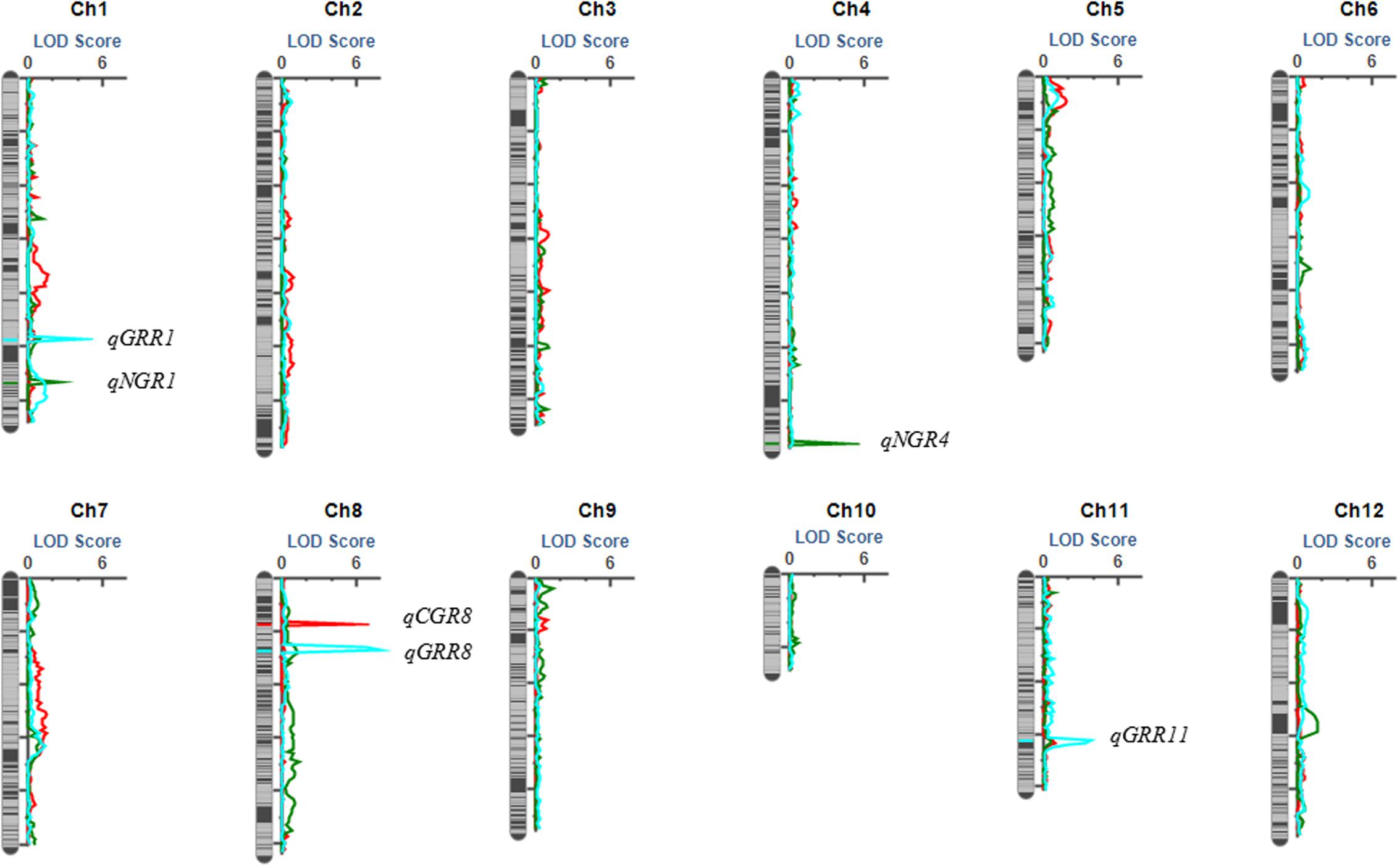 Principles of QTL analysis, Frontiers | Mapping QTL for Seed Germinability under Low Temperature Using a New High-Density ...