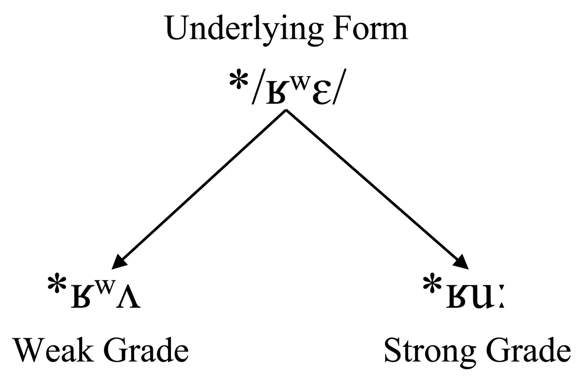 Principles of comparative method, Jaker | On the historical source of a ~ u alternations in Dëne Sųłıné optative paradigms ...