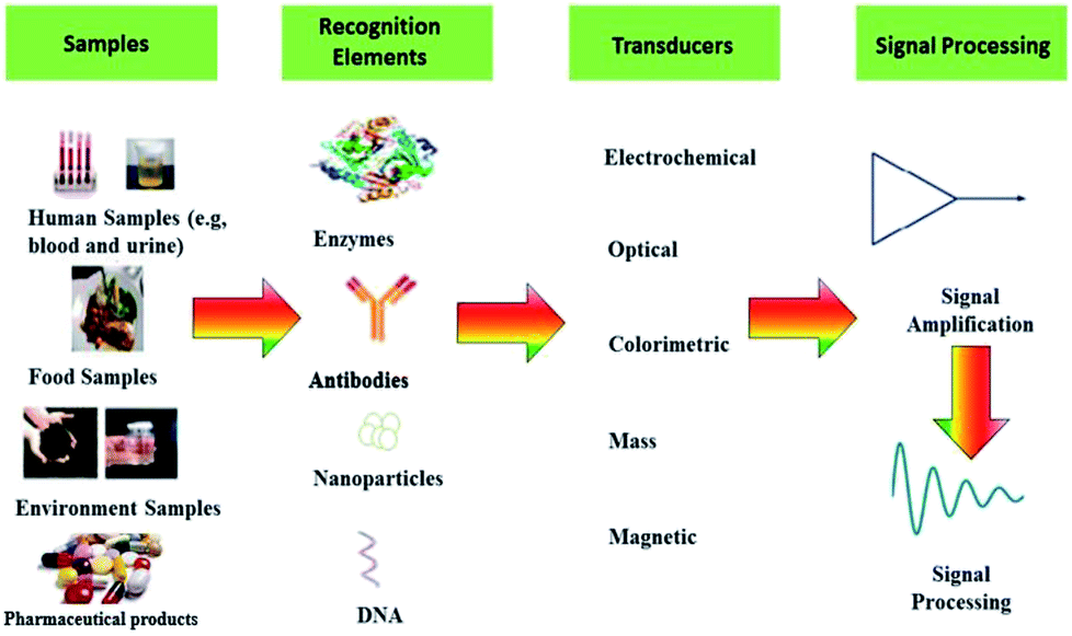 Principles of optical biosensing, Nanosensors for diagnosis with optical, electric and mechanical transducers - RSC Advances (RSC ...