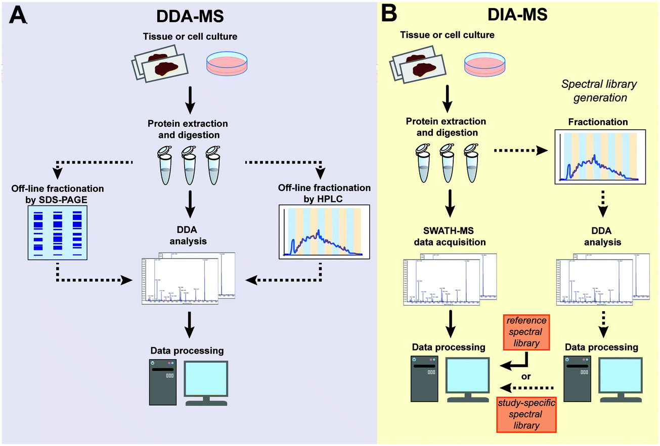 Principles of single-cell proteomics, Data-independent acquisition mass spectrometry (DIA-MS) for proteomic applications in oncology ...