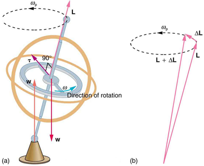 Right-hand rule for rotational quantities, Gyroscopic Effects: Vector Aspects of Angular Momentum | Physics