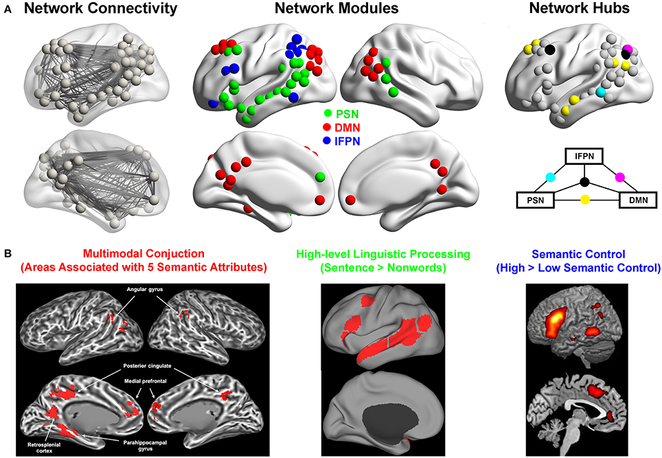 Components and Organization, Frontiers | A Tri-network Model of Human Semantic Processing