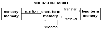 Short-Term Memory (STM), Atkinson–Shiffrin memory model - Wikipedia