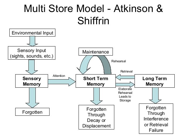Stages of Memory, Memory – Foundations of Learning and Instructional Design Technology
