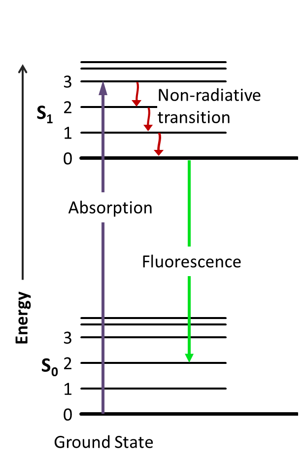 Stokes shift in fluorescence spectroscopy, File:Jablonski Diagram of Fluorescence Only.png - Wikimedia Commons