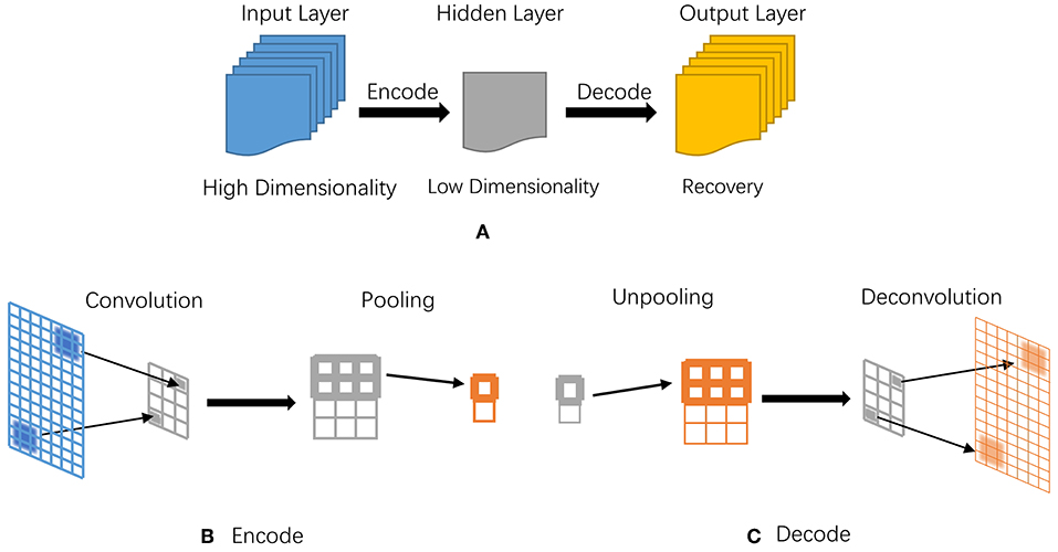 Definition and core concepts, Frontiers | Recent Advances of Deep Learning in Bioinformatics and Computational Biology