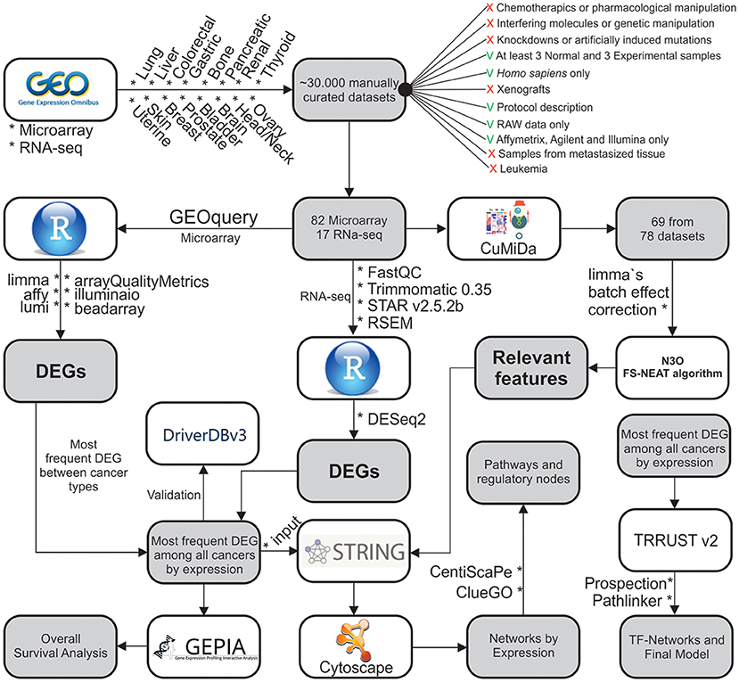 Definition and core concepts, Frontiers | Multi-Approach Bioinformatics Analysis of Curated Omics Data Provides a Gene ...