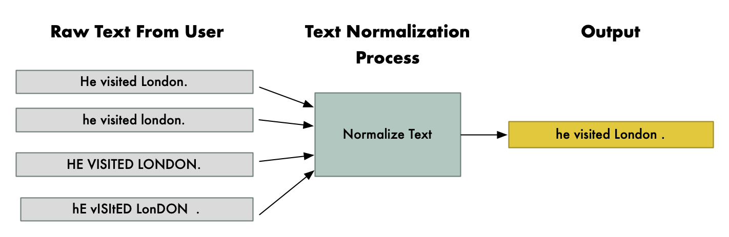 Common Techniques and Challenges, Text Normalization