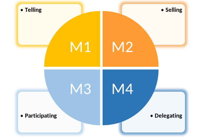 Transactional vs transformational vs charismatic leadership, Situational Theories of Leadership | Principles of Management
