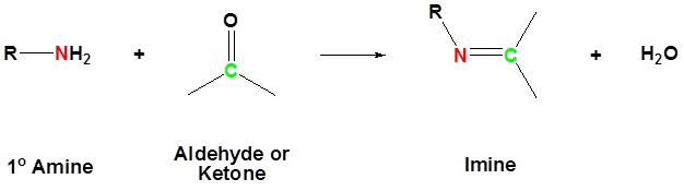 Types of amines by substituents, 21.4. Imine formation | Organic Chemistry II