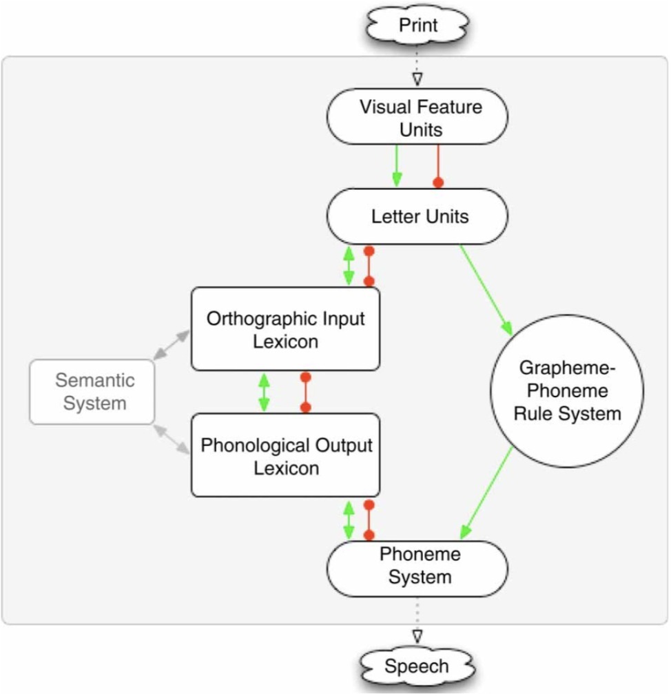 Types of dyslexia, Frontiers | Double Trouble: Visual and Phonological Impairments in English Dyslexic Readers